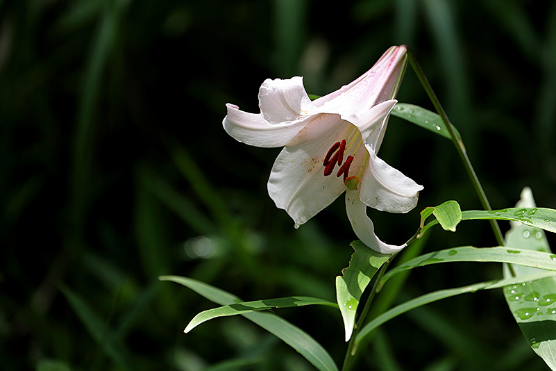 Photo#22