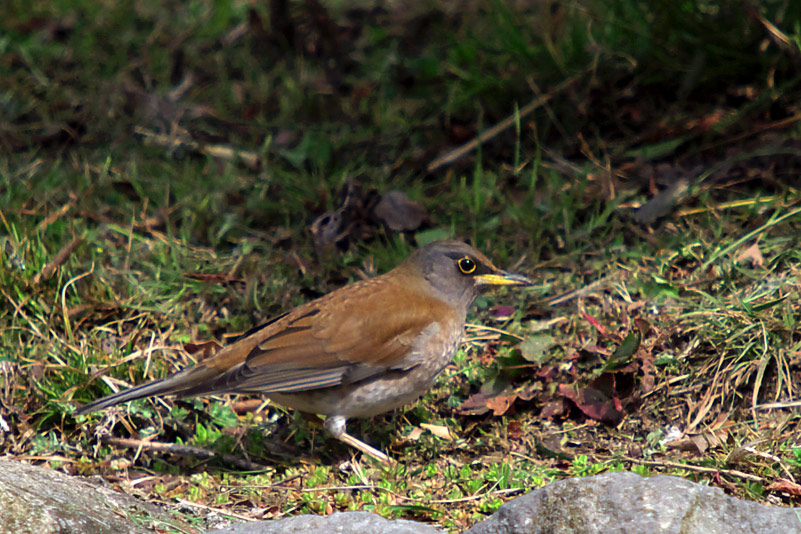 Photo#20