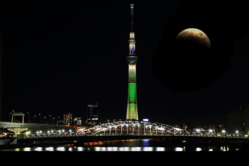 Photo#11