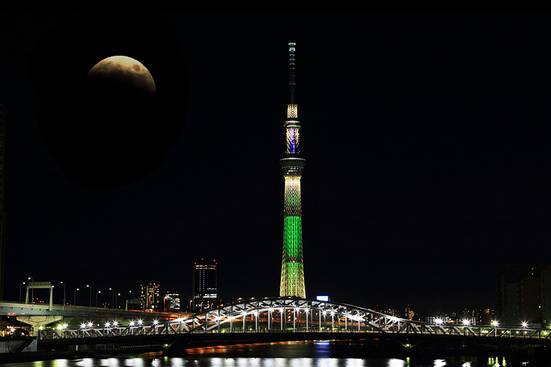 Photo#12