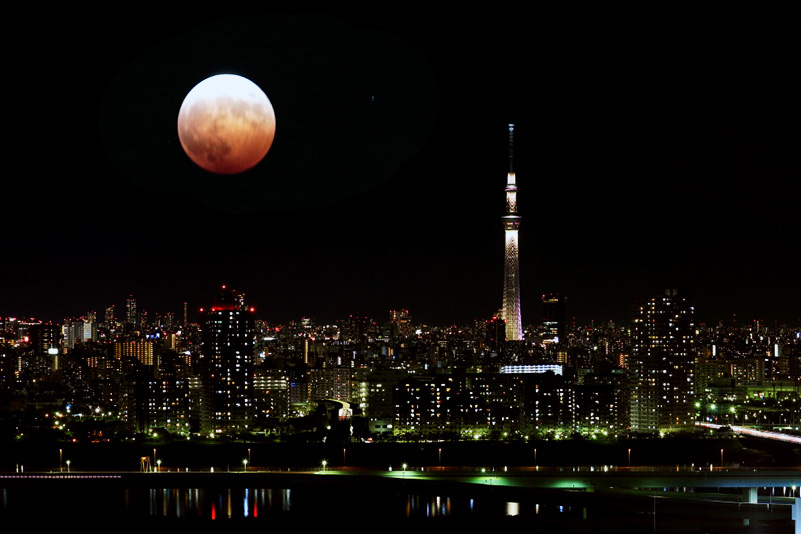 Photo#20