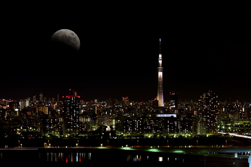 Photo#7