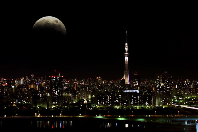 Photo#10