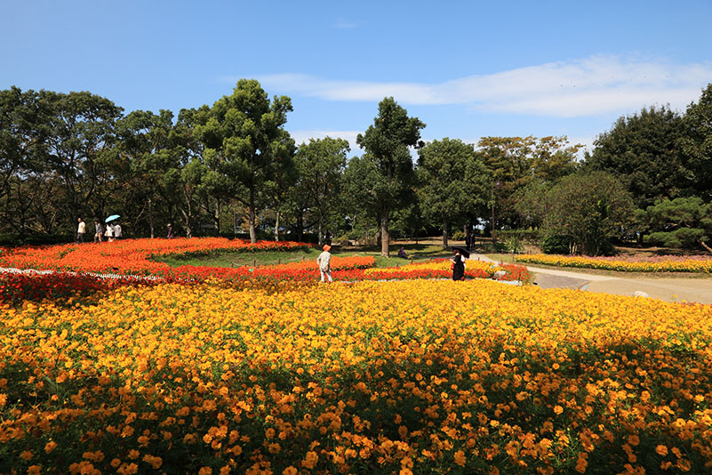 Photo#12