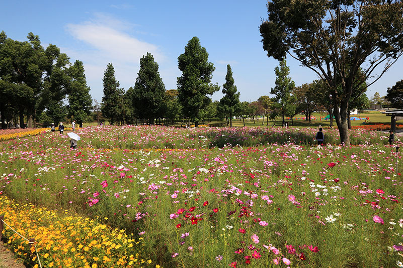 Photo#15