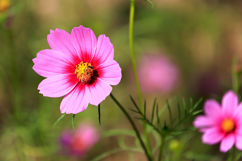 Photo#23