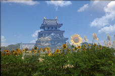 273_1.jpg  : 120 KB