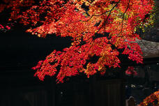 374_1.jpg  : 191 KB