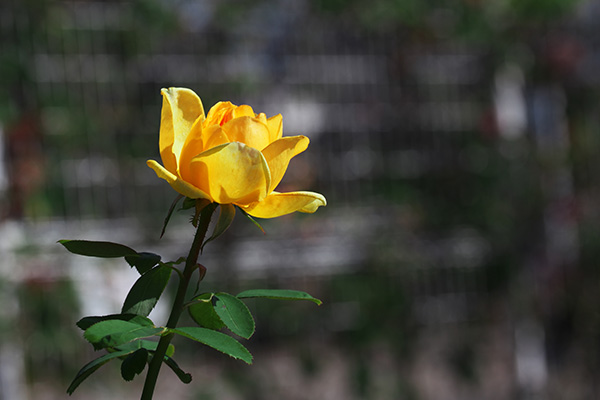 201