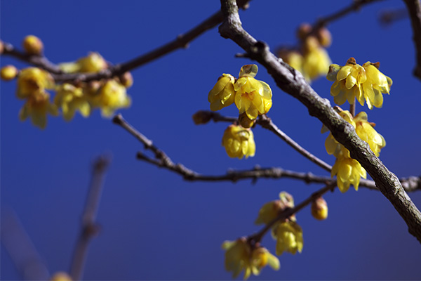 ('-'*)おはよぅ～♪