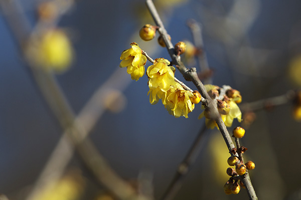 ('-'*)おはよぅ～♪