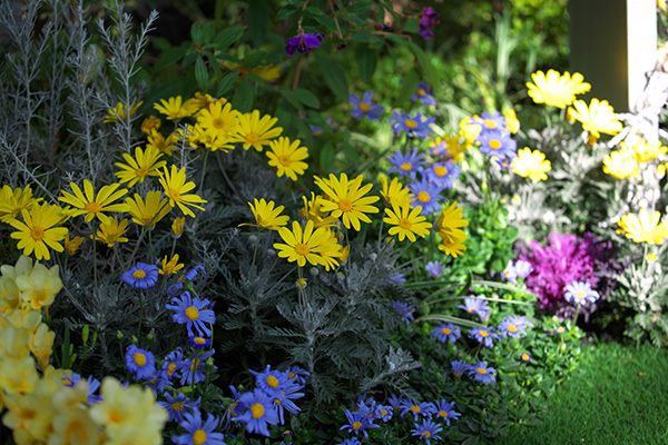 ('-'*)おはよぅ～♪