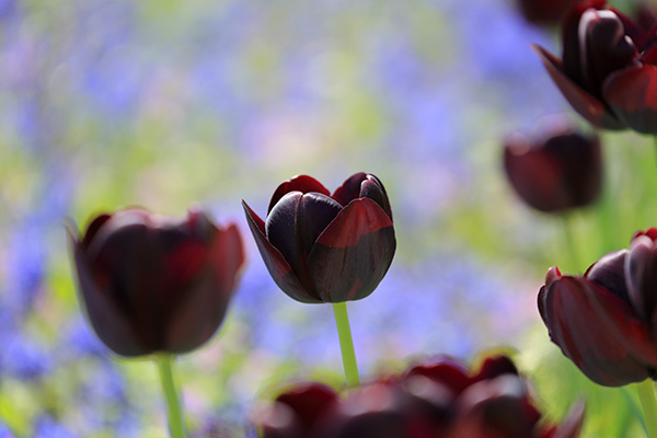 ('-'*)おはよぅ～♪