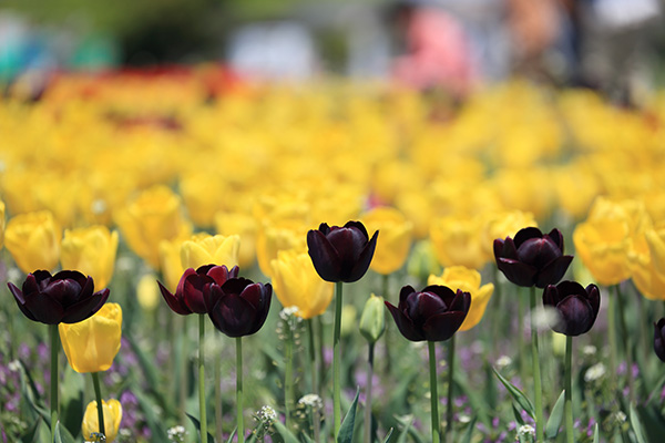 ('-'*)おはよぅ～♪