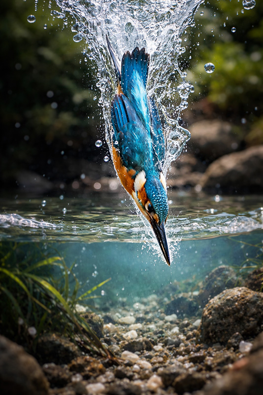 ('-'*)おはよぅ～♪