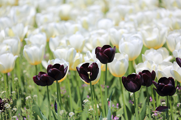 ('-'*)おはよぅ～♪