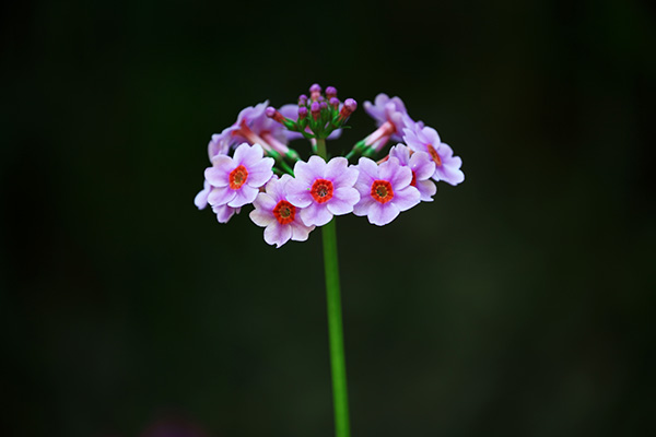 434
