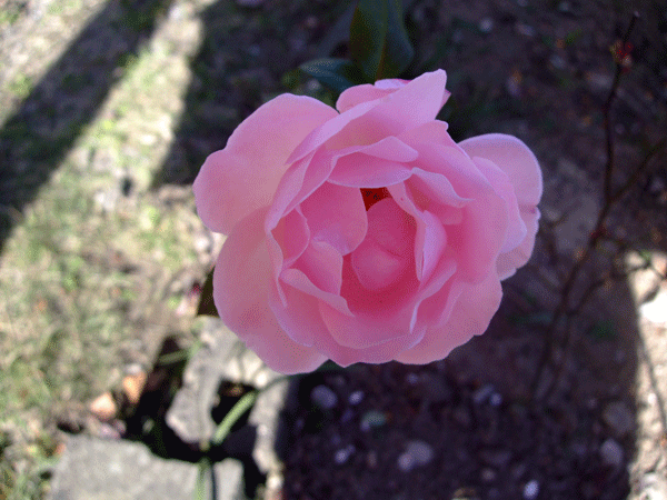 183570_1.gif  : 166 KB