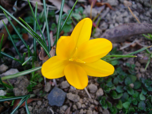 185463_1.gif  : 188 KB