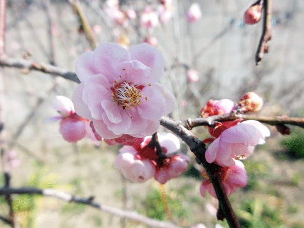 185606_1.gif  : 168 KB