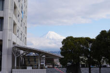 179825_1.jpg  : 136 KB