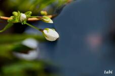 179849_3.jpg  : 22 KB