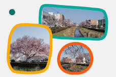 179899_2.jpg  : 192 KB