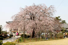 179914_1.jpg  : 192 KB