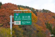 179918_1.jpg  : 74 KB