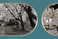179926_1.jpg  : 216 KB