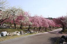 179946_1.jpg  : 190 KB