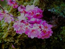 180016_2.jpg  : 123 KB