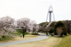 180037_1.jpg  : 121 KB