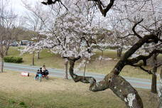 180037_3.jpg  : 219 KB