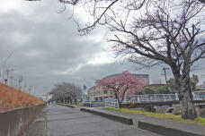 180040_1.jpg  : 80 KB