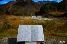 180047_6.jpg  : 78 KB