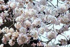 180052_2.jpg  : 112 KB