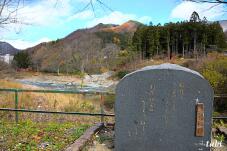 180064_1.jpg  : 95 KB