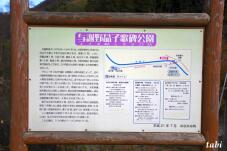 180064_4.jpg  : 70 KB