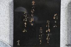 180064_7.jpg  : 85 KB