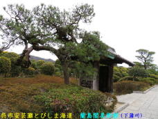 180065_3.jpg  : 84 KB