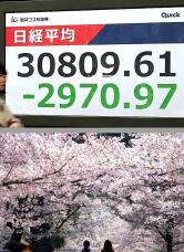 180068_2.jpg  : 204 KB