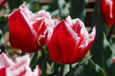 180074_2.jpg  : 71 KB