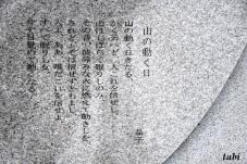180076_2.jpg  : 132 KB