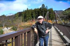 180076_8.jpg  : 83 KB