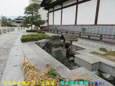 180077_2.jpg  : 73 KB