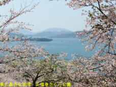 180088_1.jpg  : 94 KB