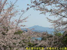 180088_3.jpg  : 99 KB