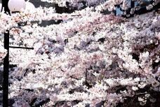 180092_3.jpg  : 145 KB