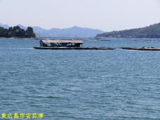 180107_3.jpg  : 53 KB